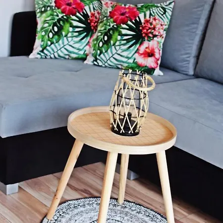 Apartmán Domowe Zacisze 1 *