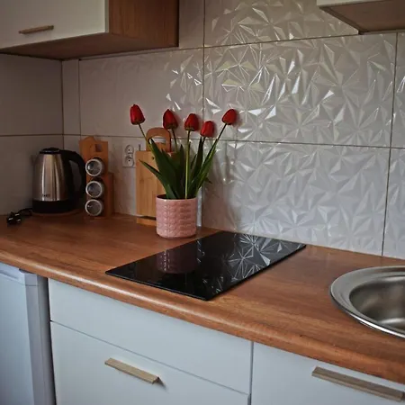 Domowe Zacisze 1 アパート