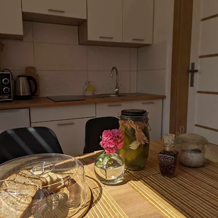 Apartment Domowe Zacisze 1 *
