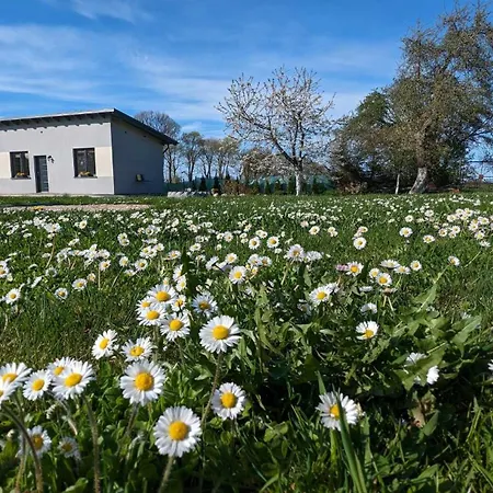 Domowe Zacisze 1 * Choczewo