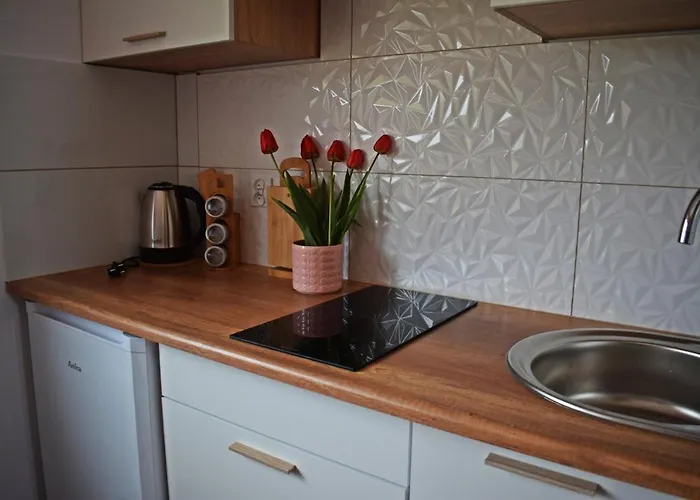 Domowe Zacisze 1 Lägenhet