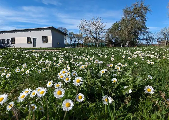 Domowe Zacisze 1 * Choczewo